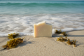 The Sea Bar: Unscented Sea Moss